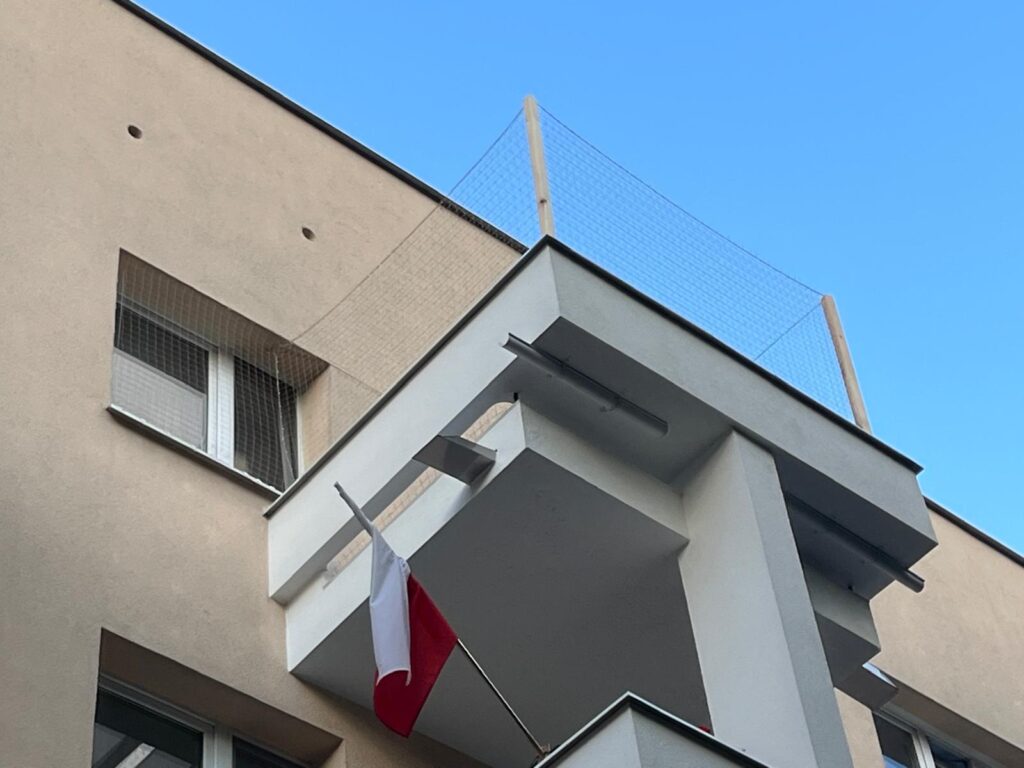 Montaż kociej siatki na balkonie w Warszawie – bezpieczne rozwiązanie dla kota