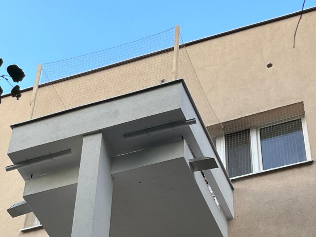 Zabezpieczenie balkonu siatką dla kota Warszawa